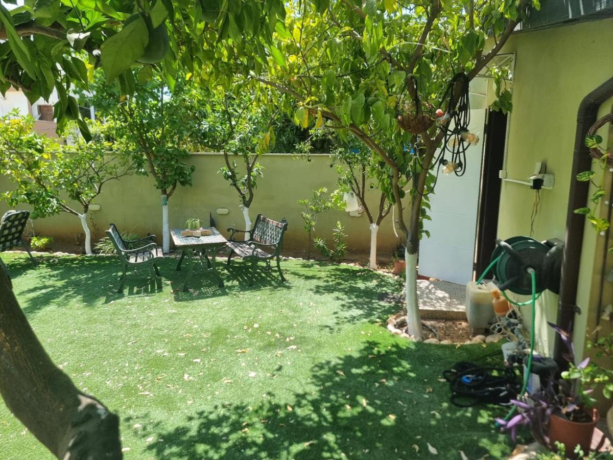 B&B Amit 18 Minutes From The Airport - אירוח כפרי עמית 18 דקות משדה תעופה Petach Tikva Ngoại thất bức ảnh